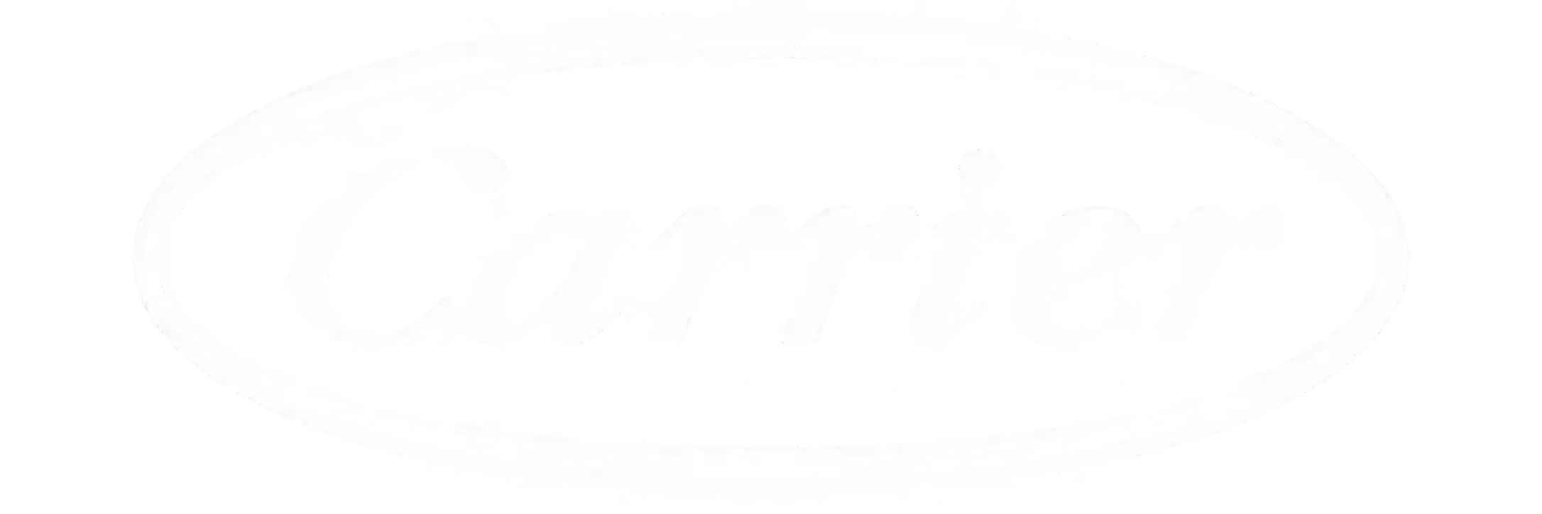 Carrier chiller brand logo